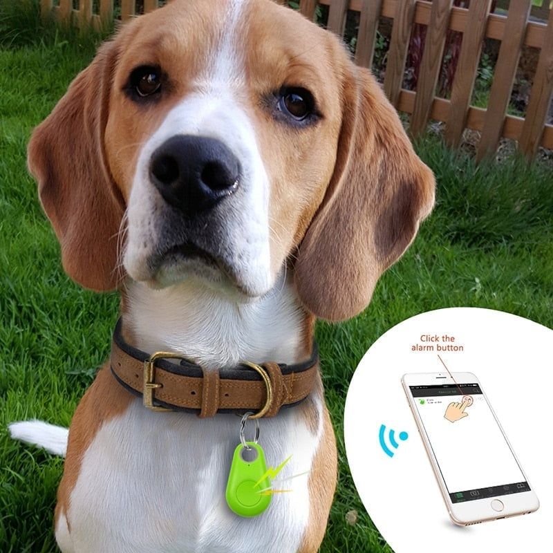 bluetooth and gps pet wireless tracker🔥 bluetooth and gps pet wireless tracker🔥