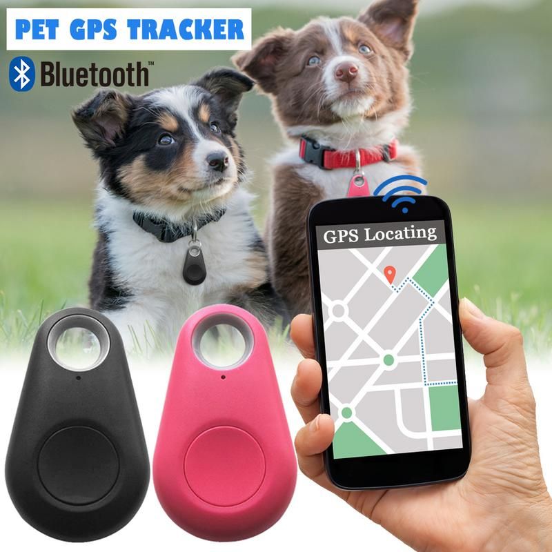 bluetooth and gps pet wireless tracker🔥 bluetooth and gps pet wireless tracker🔥